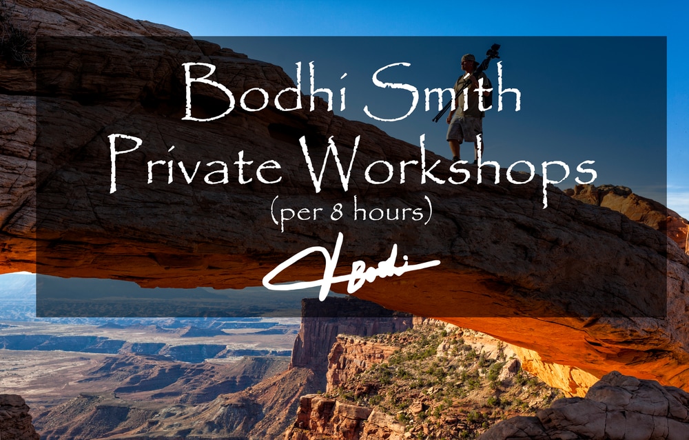 Bodhi Smith Workshops