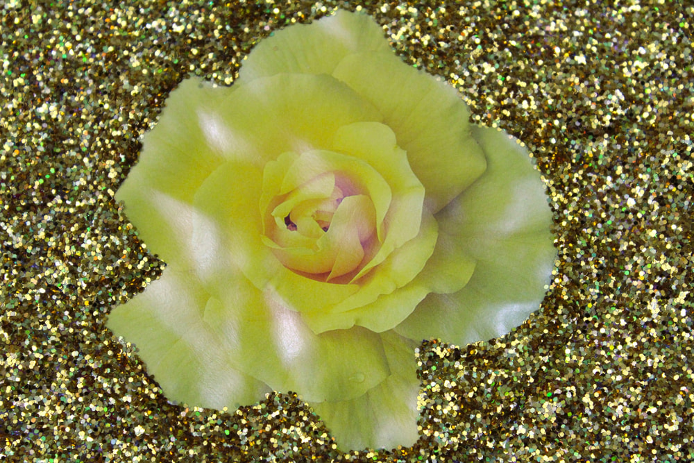 Little Yellow Rose Detail 3