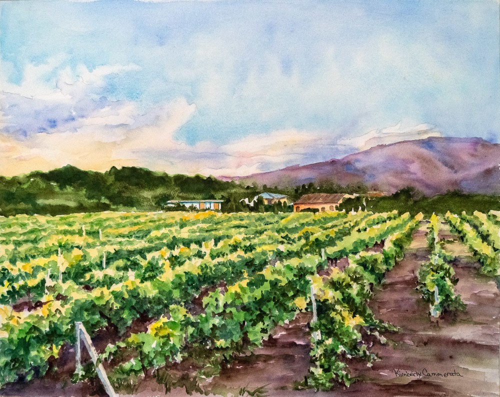 Vineyards on Etna Siclia | Kimberly Cammerata