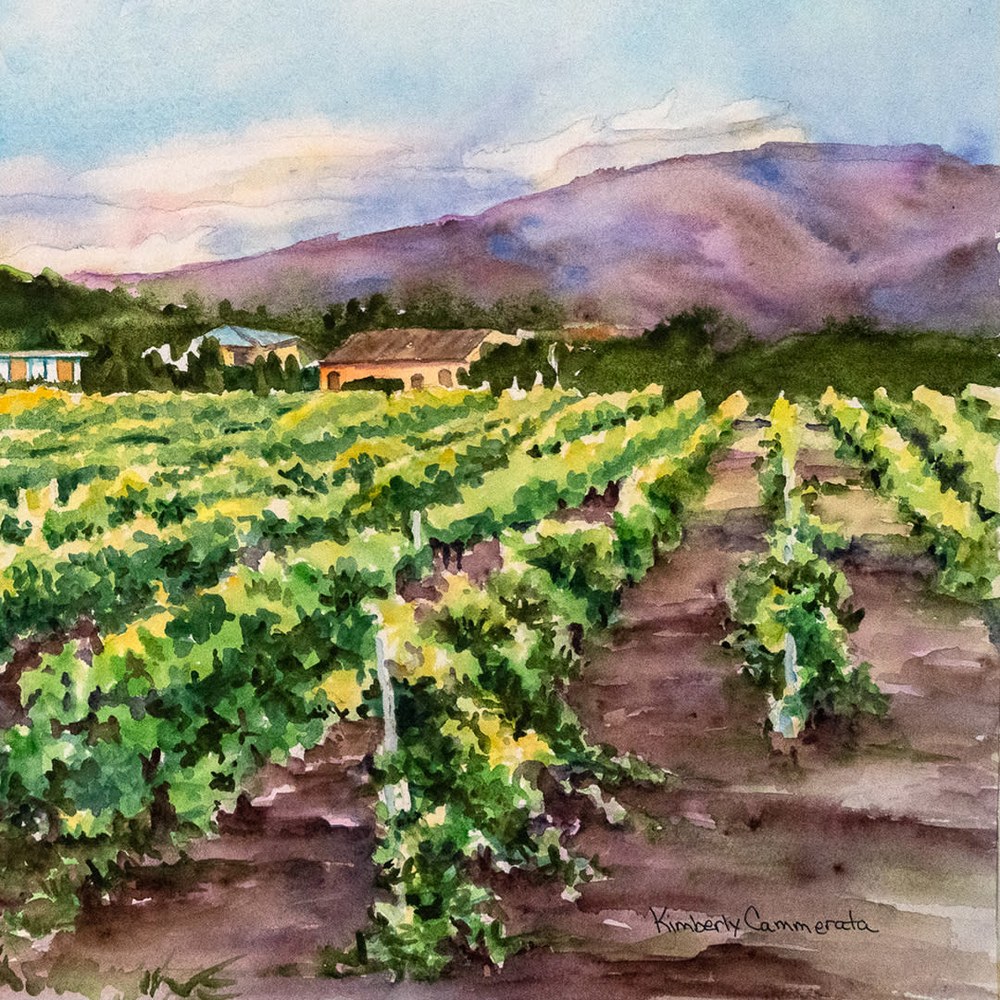 Vineyards on Etna Siclia | Detail 03 | Kimberly Cammerata