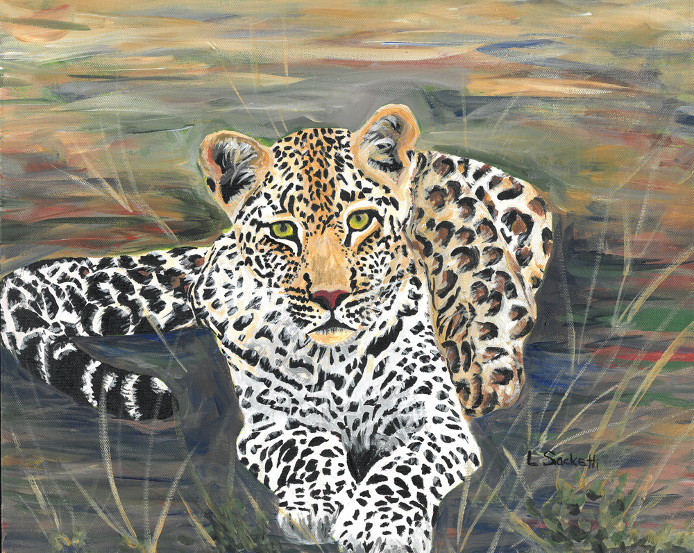 Leopard resting 11x14