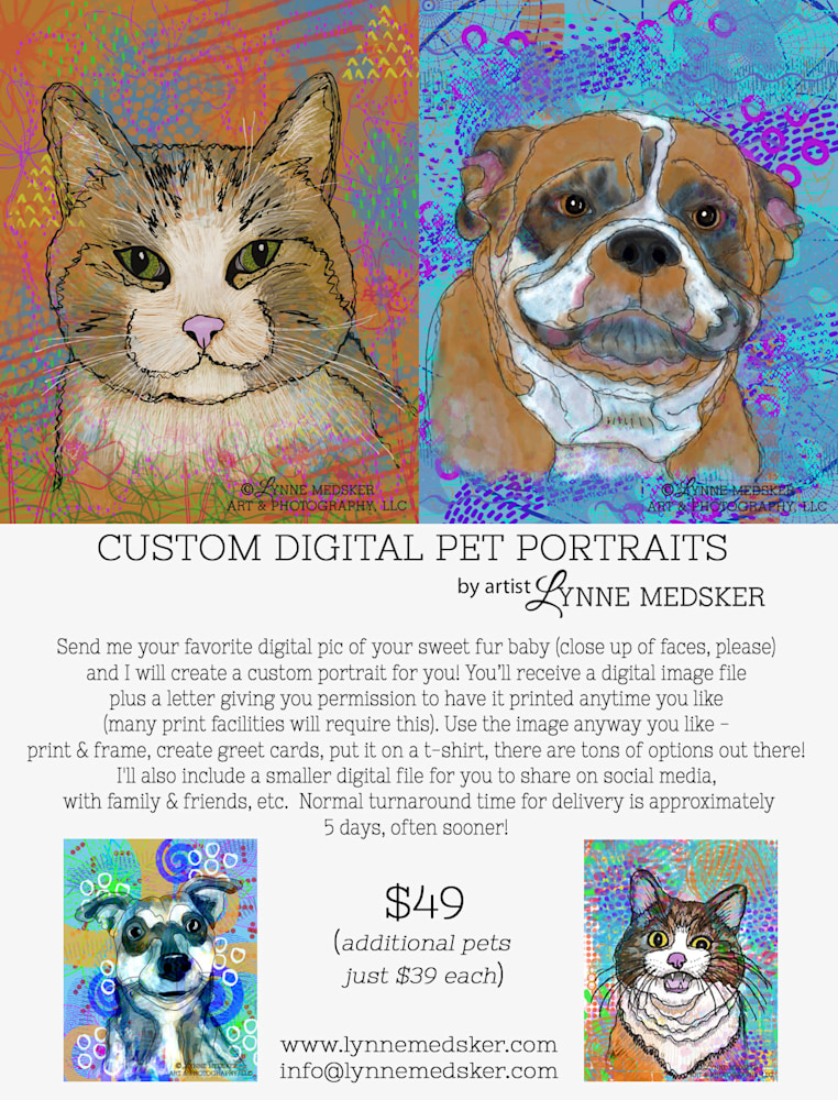 Flyer for pet portraits
