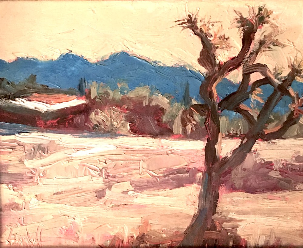 Joshua Tree Peekabo 8x10