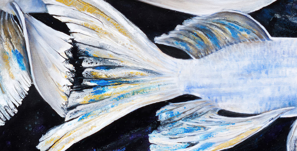 Fish Shoal of Light detail2