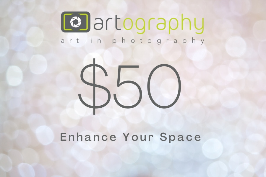 $50 GC Artography