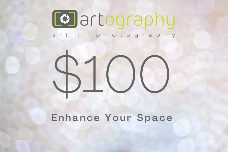 $100 GC Artography