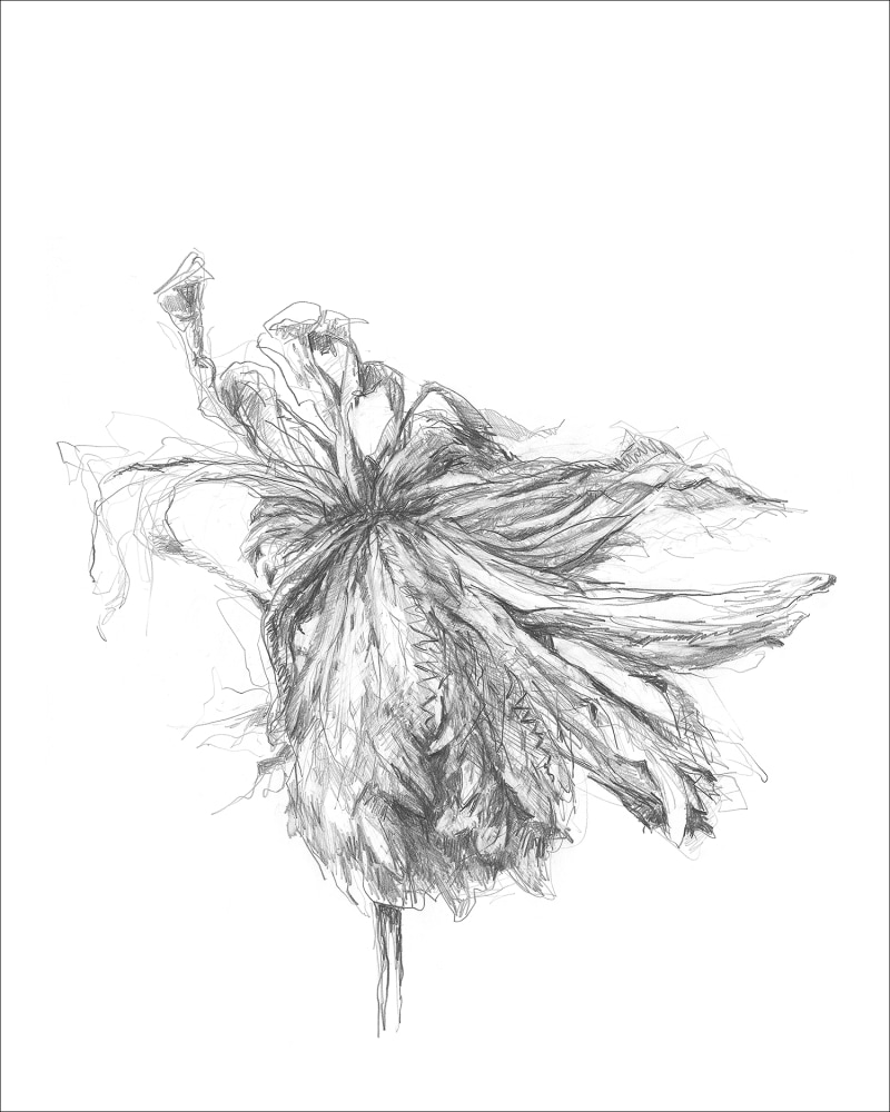 gatesman chrysanthemum 05 (L+R) (1000