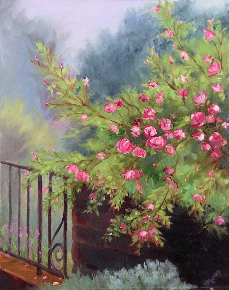 Roses After the Rain