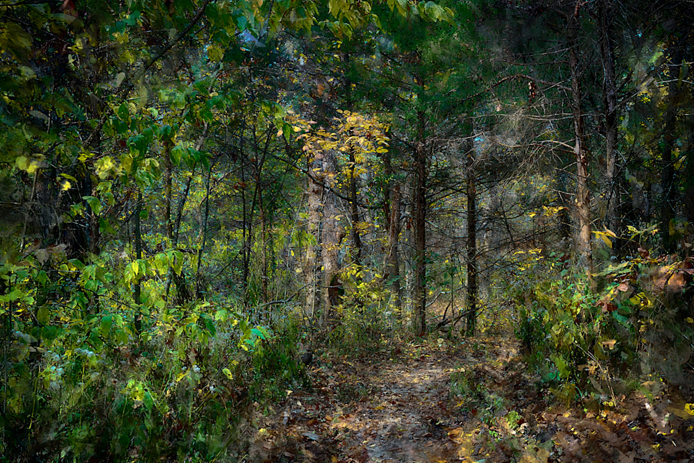 elrod path LE