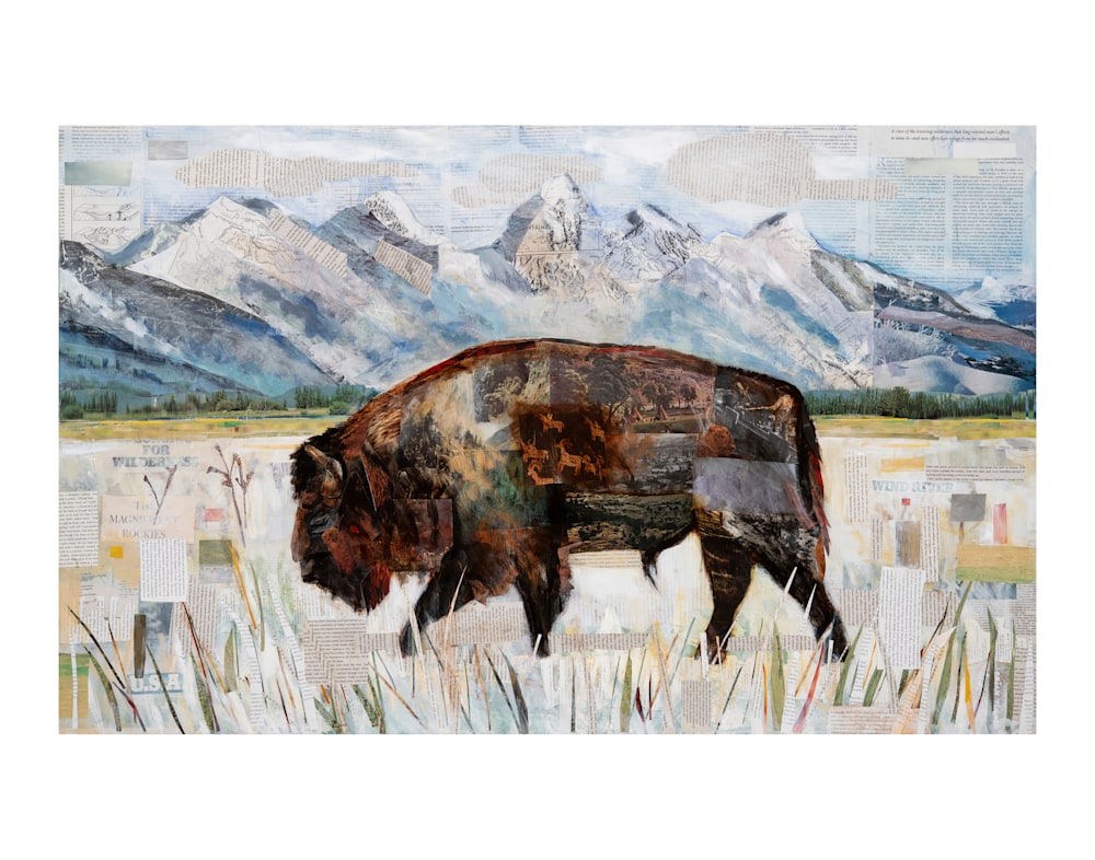 Rocky Mountain Bison 11X14
