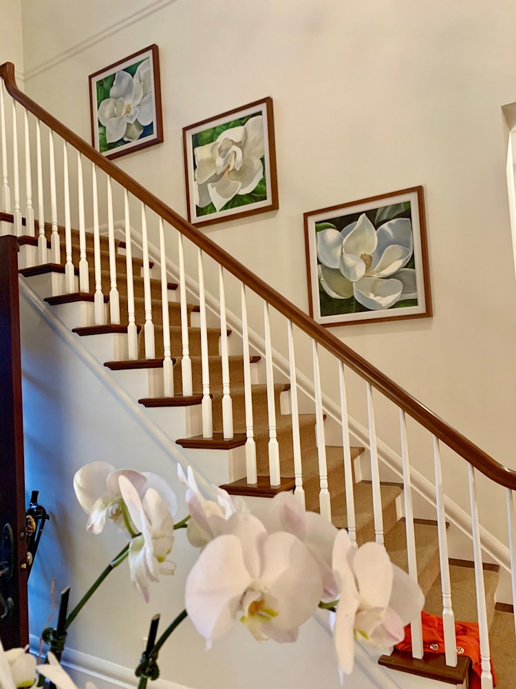 Magnolias in stairway