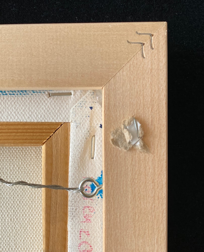 Evolving Landscape no