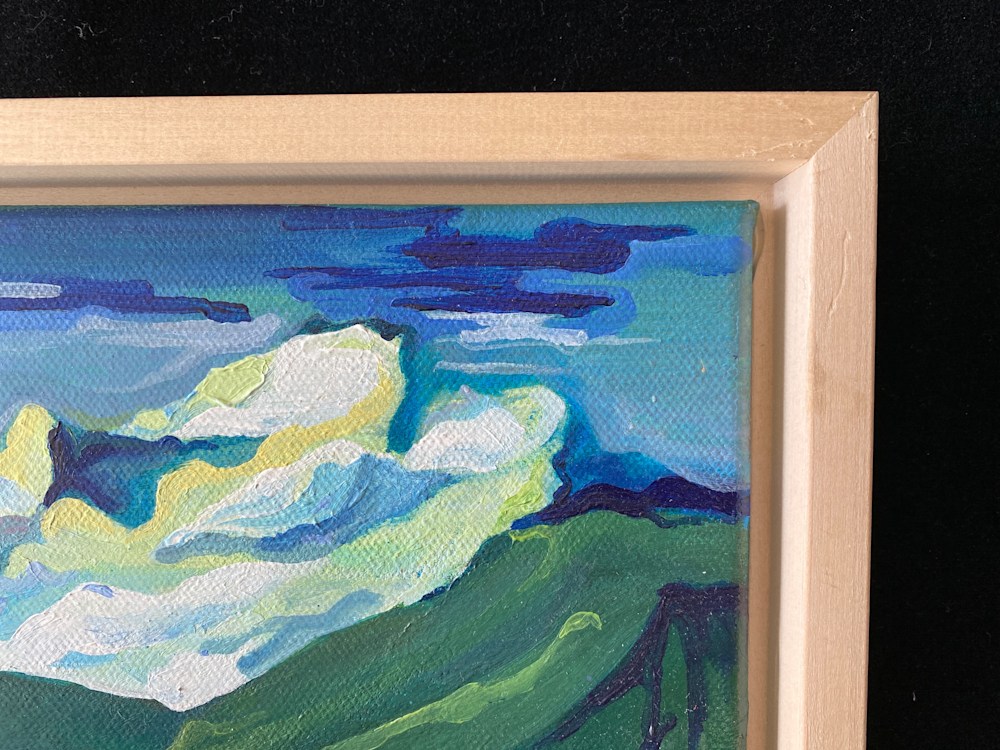 Evolving Landscape no