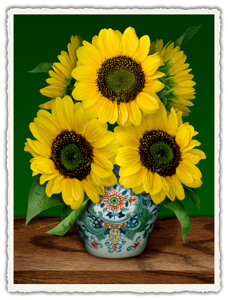 080503 4x6x300rr Sunflowers Makkum Pot front