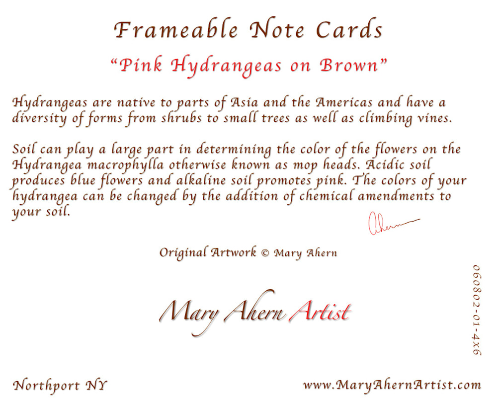 060803 4x6rr pink hydrangeas on brown back