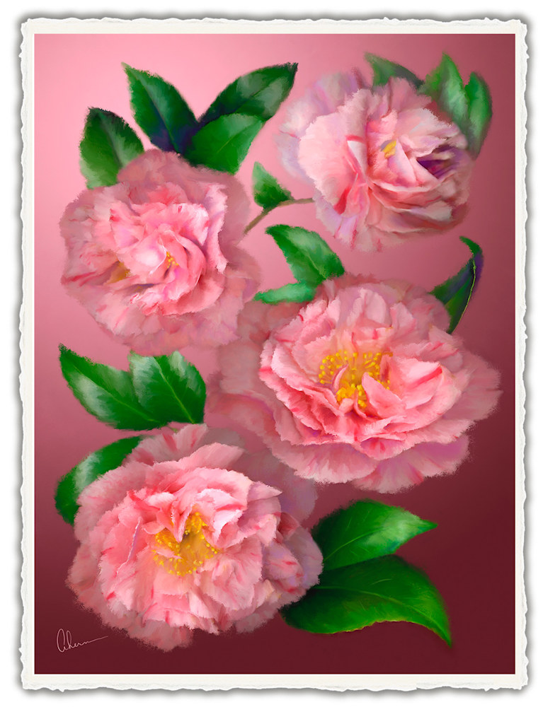 110602 4x6x300rr Pink Camellias front