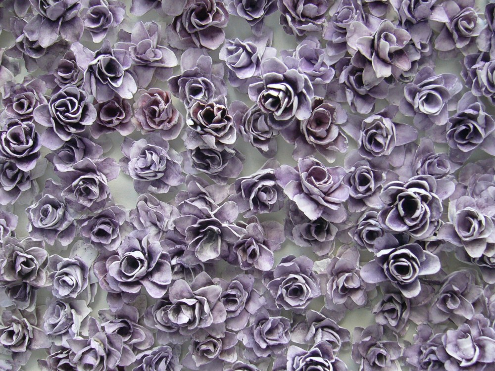 purple full frontal closeup scan