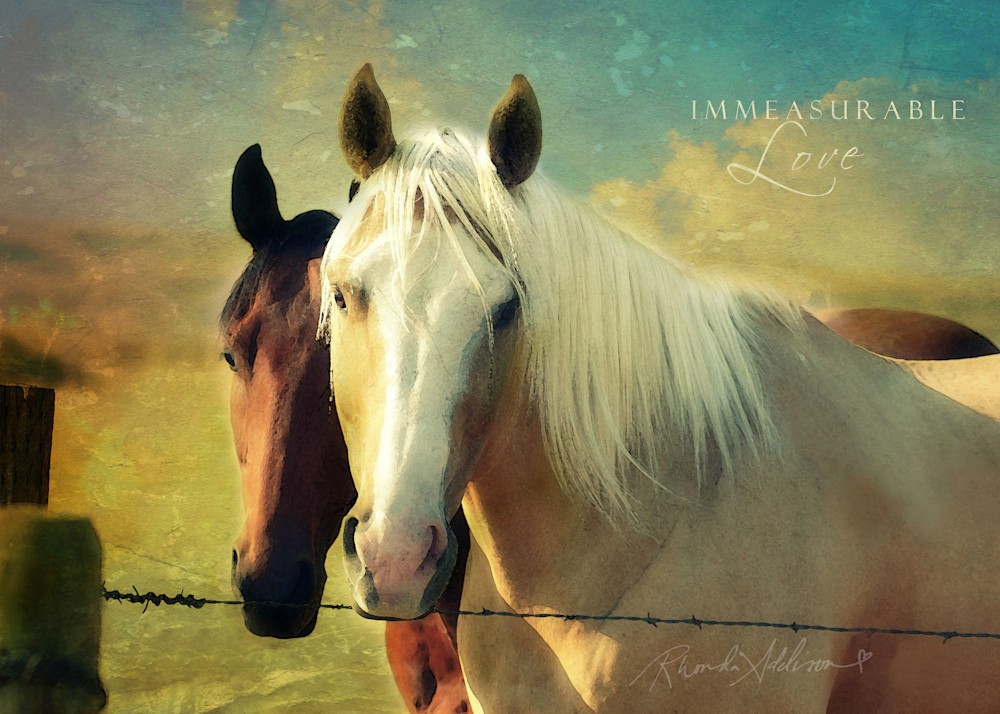 HORSES 2 V s