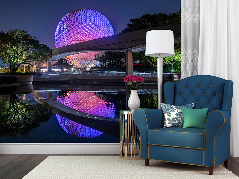 Reflections of Spaceship Earth