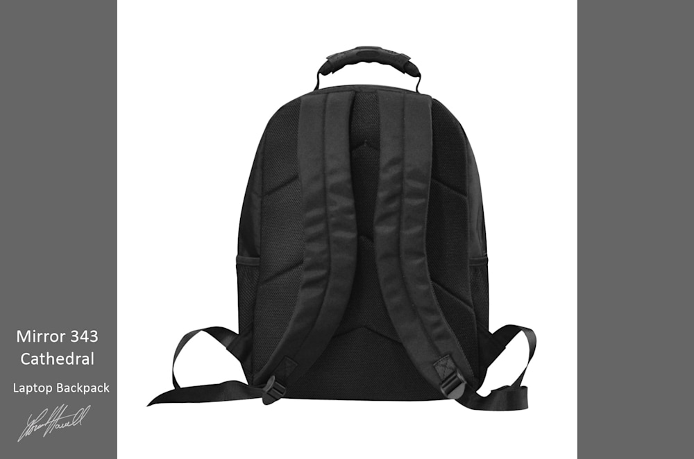 343 Laptop Backpack Df