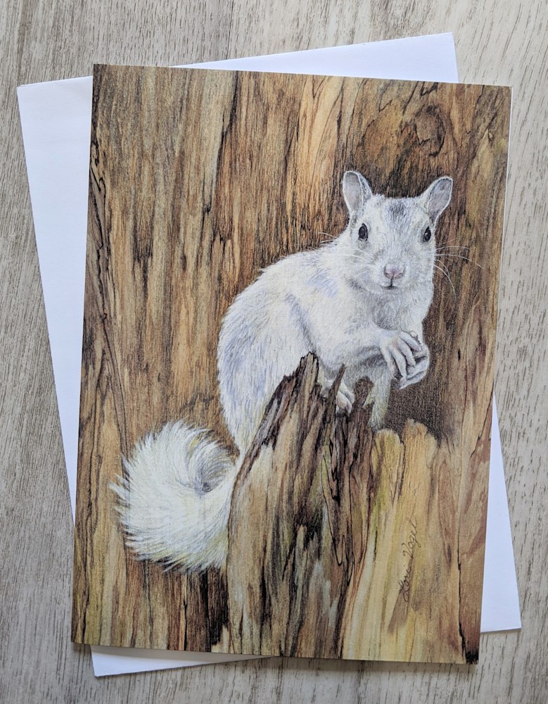 White Squirrel card