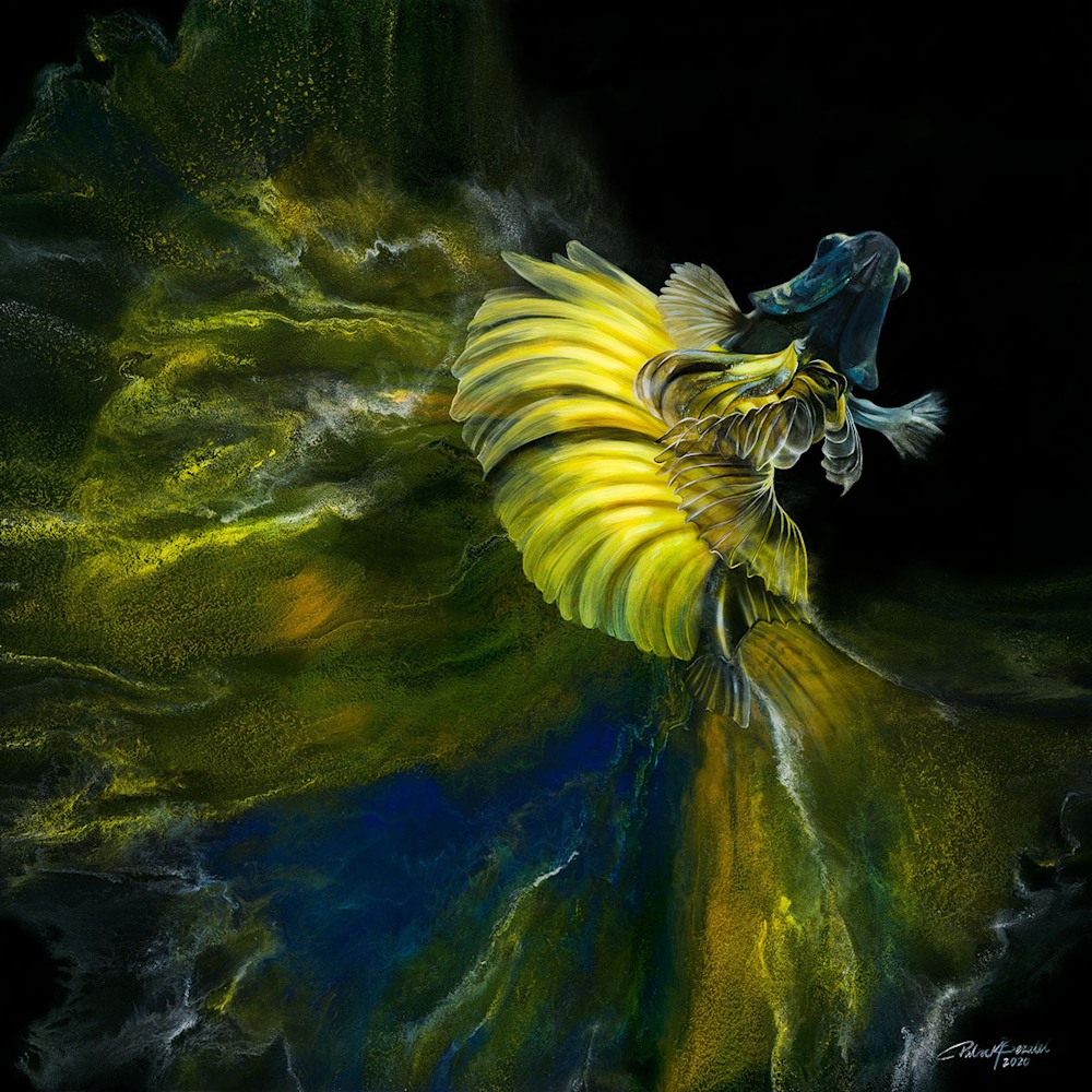 Yellow sales betta fish