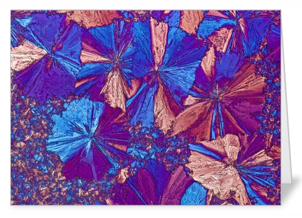 Gabapentin  Note Card