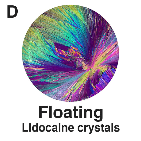 D   Floating   Plate for Website