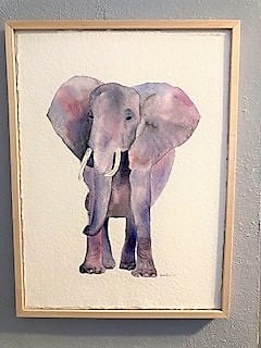 elephant straight
