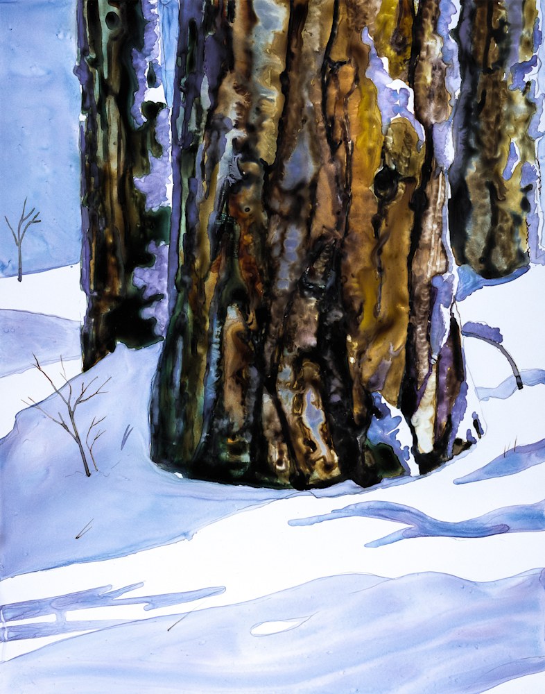 Pines in Snow 11x14 Lg file 2
