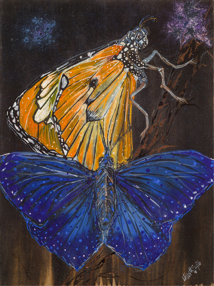 Lisa Abbott   Butterflies