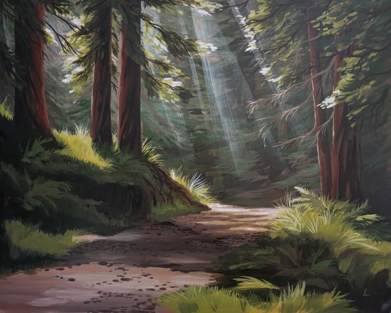 Forest Therapy, The Redwood Path small