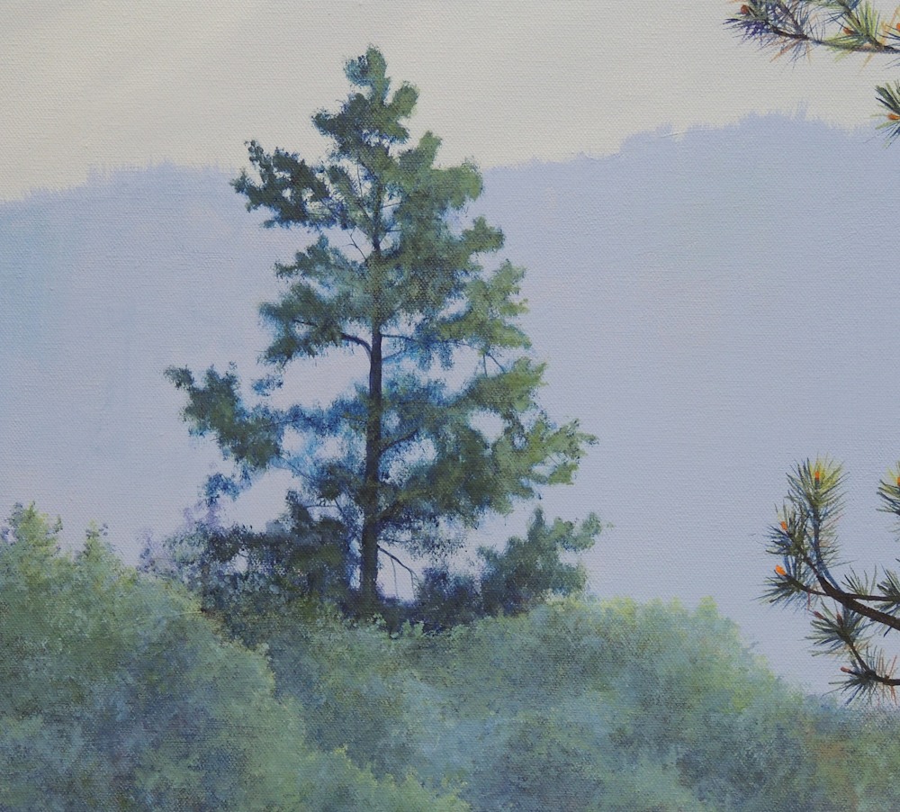 Detail 1 July Morning
