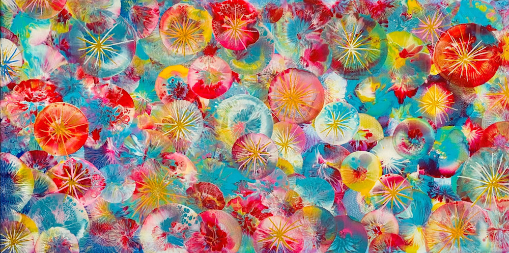 Kim Kort   Elation
