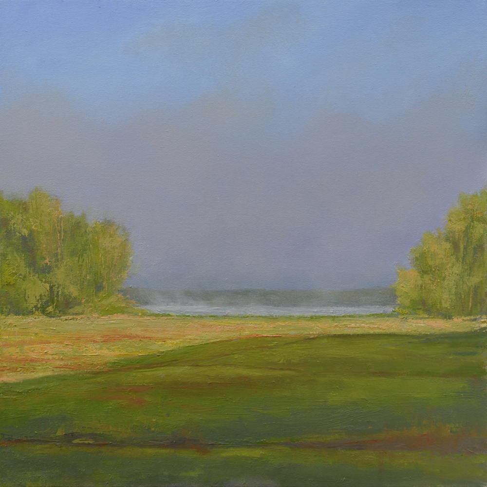 Fog on the Bog