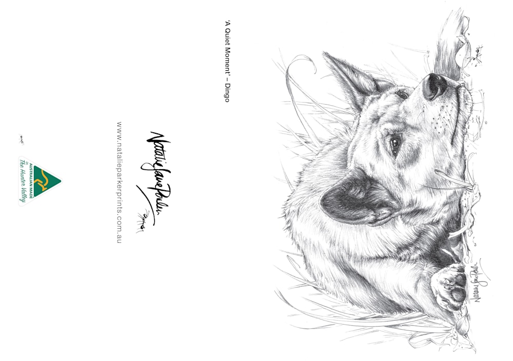 Greating Card Dingo