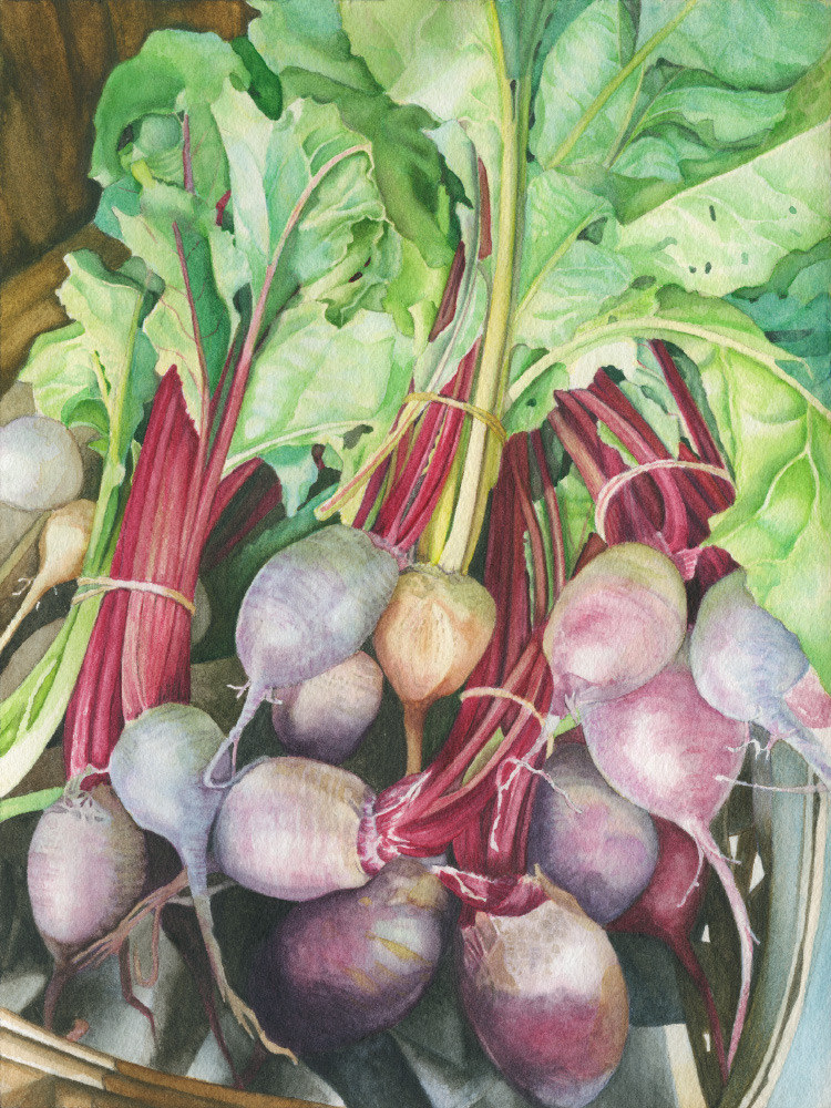 Beets          19x23framed watercolor $330