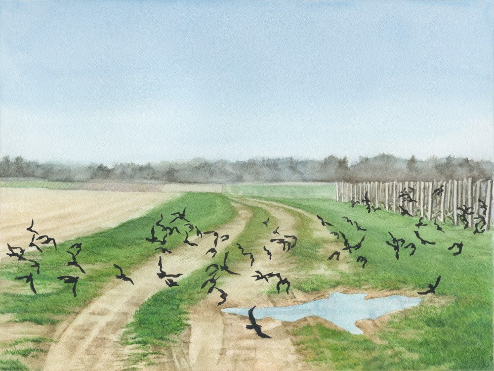 Black Birds    19x23 framed watercolor $400