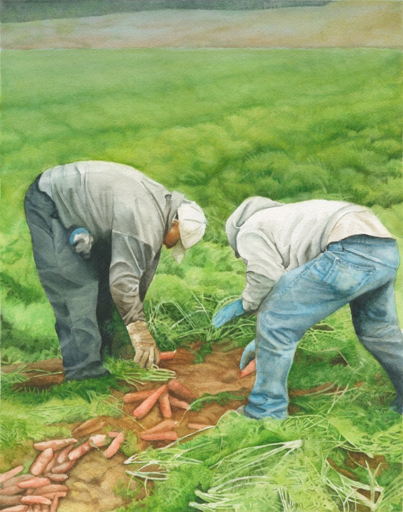 Gathering Carrots 19x23framed watercolor $340