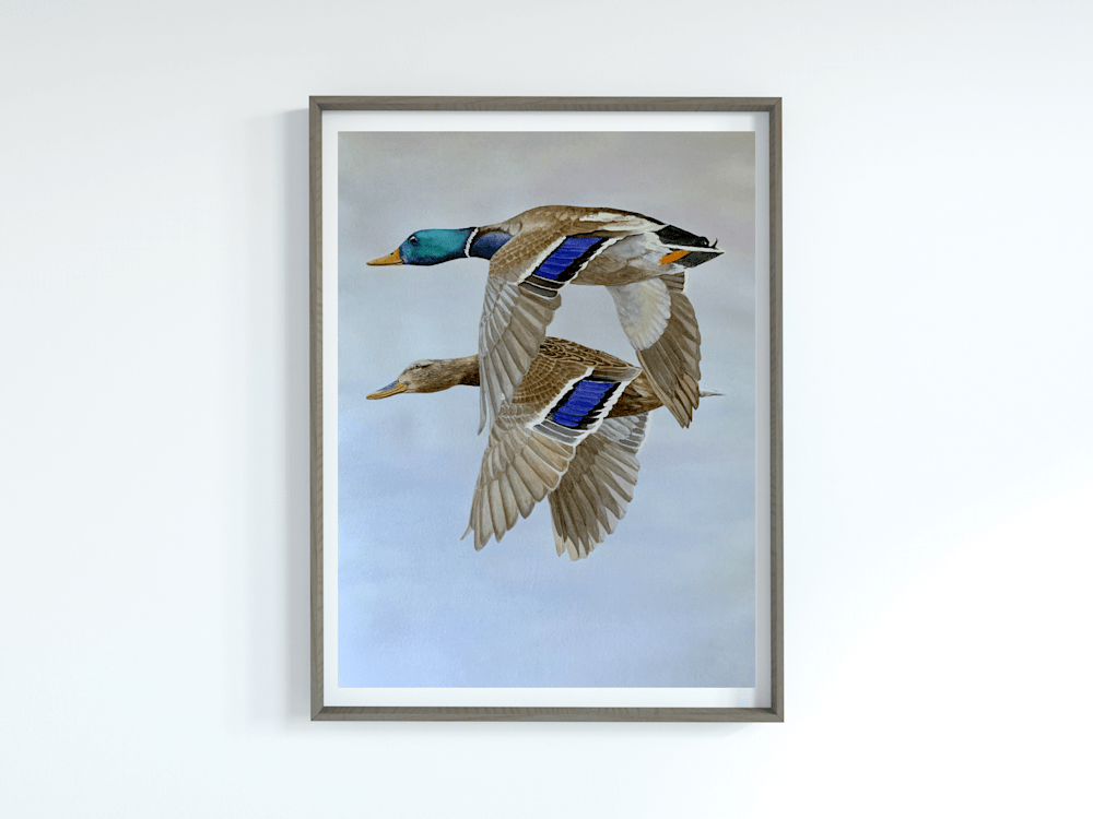 Mallard ducks painting in frame mockup