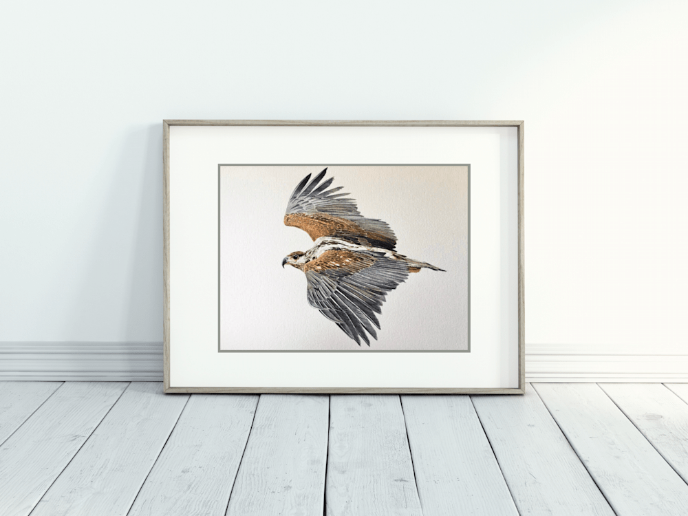 silent pursuit hawk painting in frame mockup