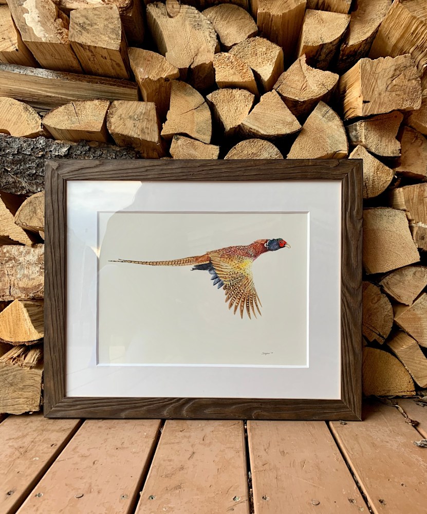 framed pheasant beside wood stack