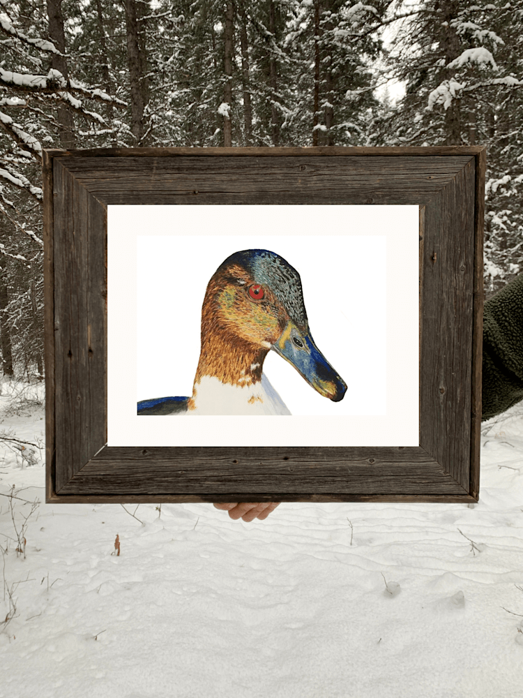 merganser duck print in barn wood frame