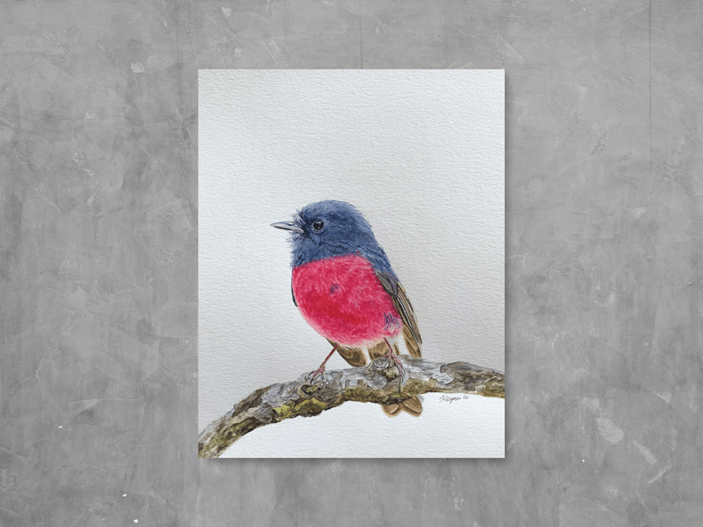 Hot pink robin painting display