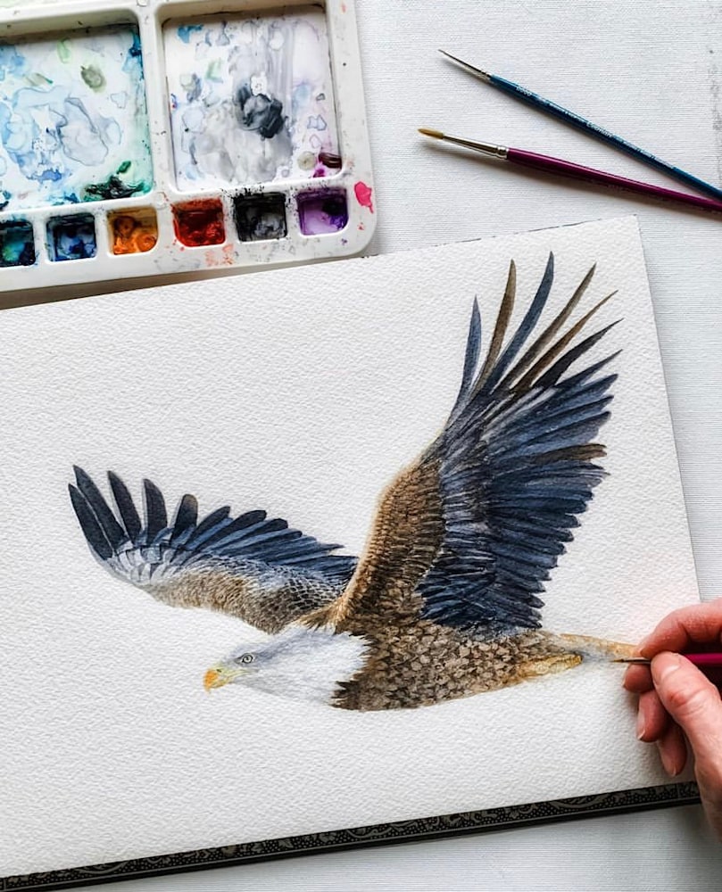 eagle at solomon painting in progress