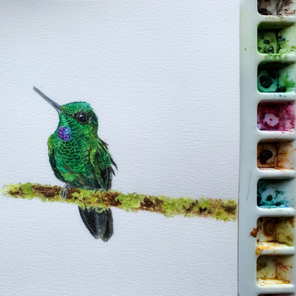 green hummingbird with pallet