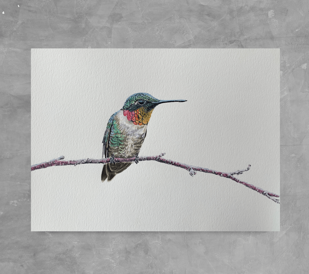 calm and collected hummingbird painting display 3