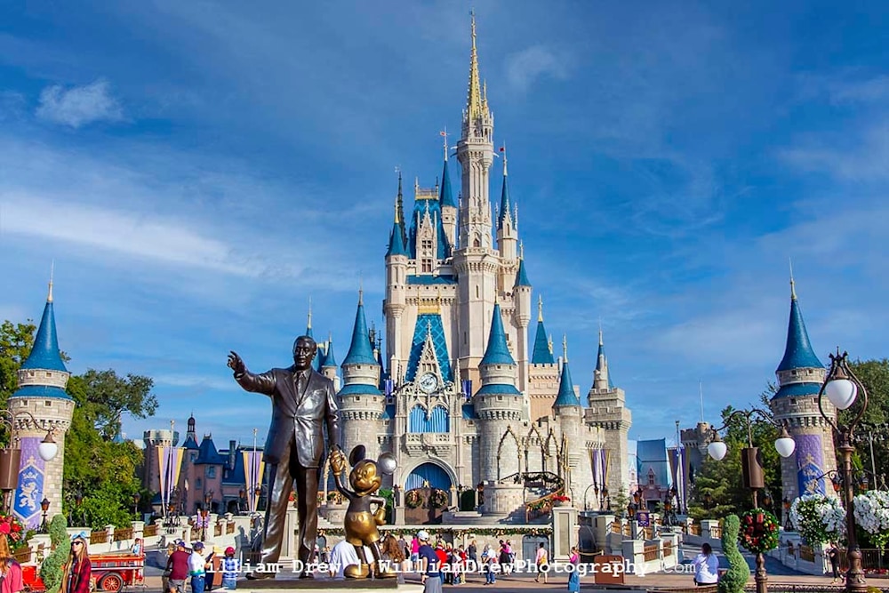 WDW Hub 3 sm