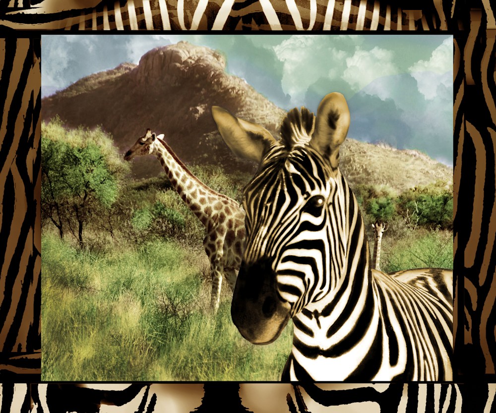 Golden Zebra wGiraffes SEPT Limited Ed 2021 NEW 36x30r