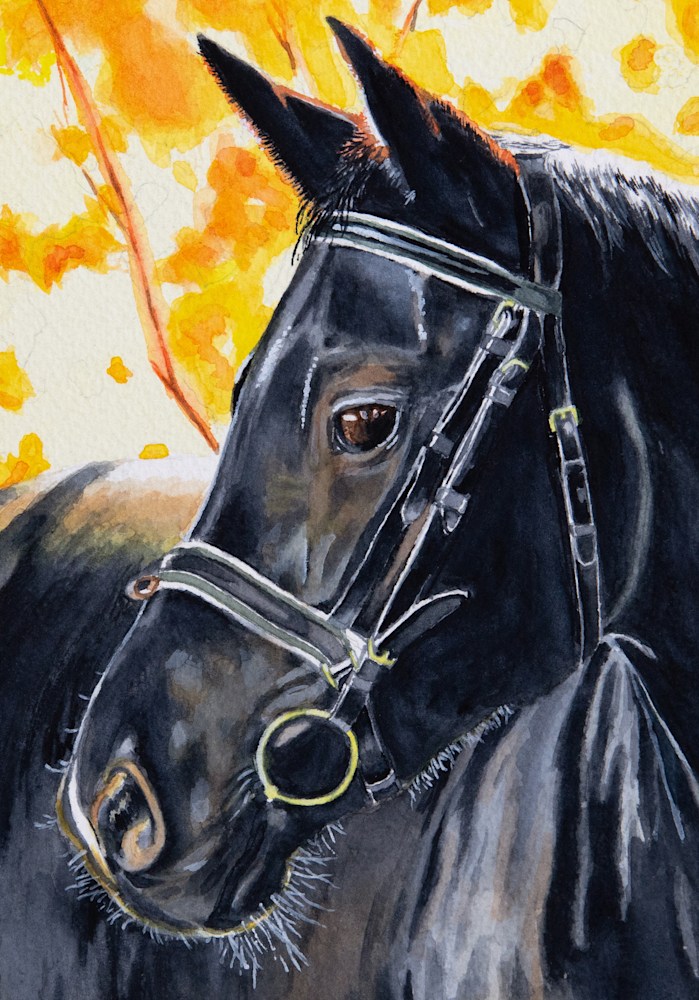 Black Horse detail 2 CRC © 2021